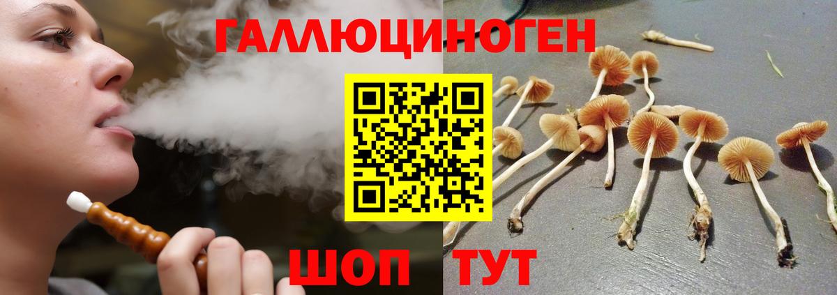 Галлюциногенные грибы мухоморы  Вход с VPN  Галлюциногенные грибы ЛСД  Долгопрудный 